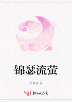 錦瑟流螢在線閱讀