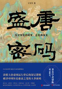 盛唐密碼：歷史深處的成見、意見和預見