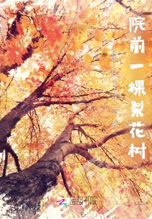院前一棵梨花樹