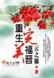 重生完美福晉