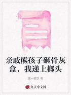 亲戚熊孩子砸骨灰盒，我递上榔头在线阅读