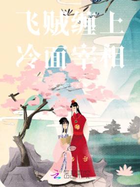 飞贼缠上冷面宰相在线阅读