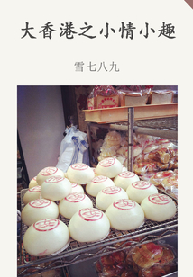 大香港之小情小趣（千種豆瓣高分原創(chuàng)作品·在他鄉(xiāng)）