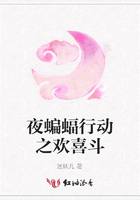 夜蝙蝠行動之歡喜斗在線閱讀