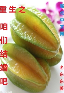 重生之咱們結婚吧