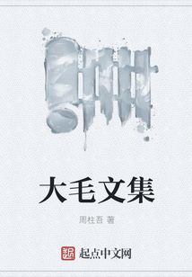 大毛文集