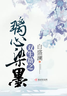 双生劫之璃心染墨
