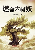 燃命大樹妖在線閱讀