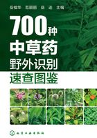 700种中草药野外识别速查图鉴