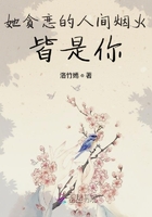 她贪恋的人间烟火皆是你在线阅读