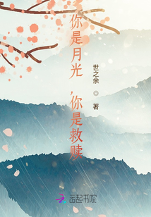 你是月光，你是救贖