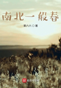 南北一般春