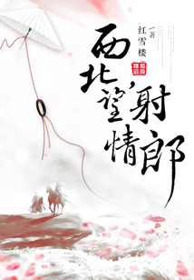 西北望，射情郎