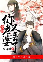 少帅，你老婆又丢了在线阅读