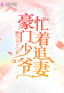 豪門少爺忙著追妻
