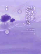 弟弟撿來的人參在線閱讀