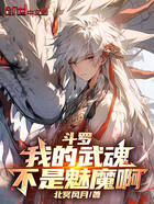 斗罗我的武魂不是魅魔啊在线阅读