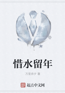惜水留年