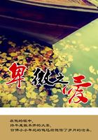 卑微之愛在線閱讀