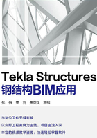 Tekla Structures钢结构BIM应用