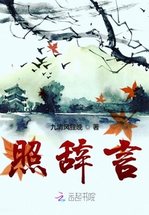照辞言
