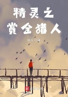 精灵之赏金猎人