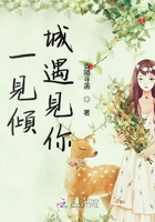 一見傾城遇見你在線閱讀