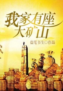 我家有座大礦山