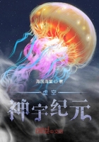 虚空：神宇纪元在线阅读