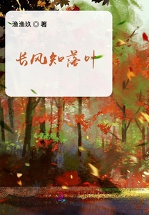 長(zhǎng)風(fēng)知落葉