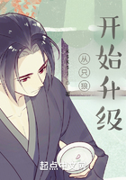 从只狼开始升级在线阅读
