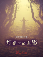 灯光下的黑影在线阅读