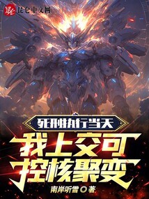 死刑執行當天，我上交可控核聚變
