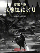 穿越斗罗:武魂镜花水月!在线阅读