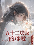 五十二块钱的母爱在线阅读