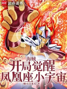 海賊：開局覺醒鳳凰座小宇宙