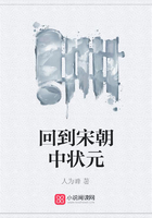 回到宋朝中状元在线阅读