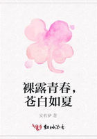 裸露青春，蒼白如夏在線閱讀