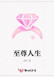 至尊人生