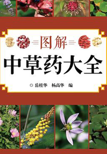 圖解中草藥大全