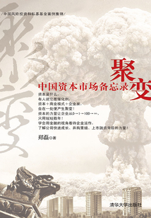 聚變：中國資本市場備忘錄