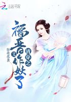 清穿之福晉又作妖了在線閱讀