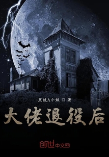 大佬退役后