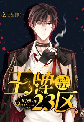 王牌23区在线阅读