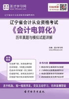 辽宁省会计从业资格考试《会计电算化》历年真题与模拟试题详解在线阅读