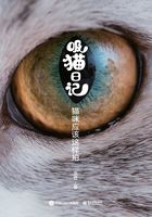 吸猫日记：猫咪应该这样拍