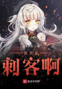 我真是刺客啊