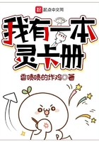 我有一本靈卡冊在線閱讀