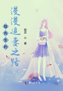陸先生的漫漫追妻之路