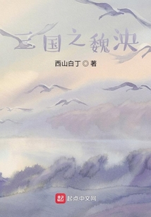 三國之魏泱